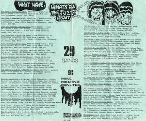 liner notes for What's All The Fuzz About